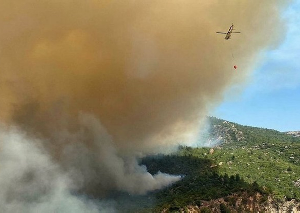 Çanakkale'deki yangının çıkış nedeni belli oldu! Köy muhtarı ilk kez açıkladı: Jandarmanın tespitine göre...