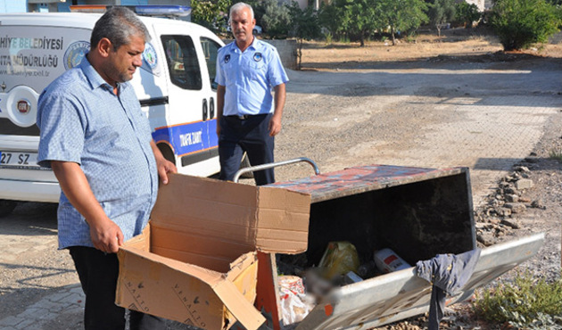 Kedileri silahla vurup çöpe attılar!