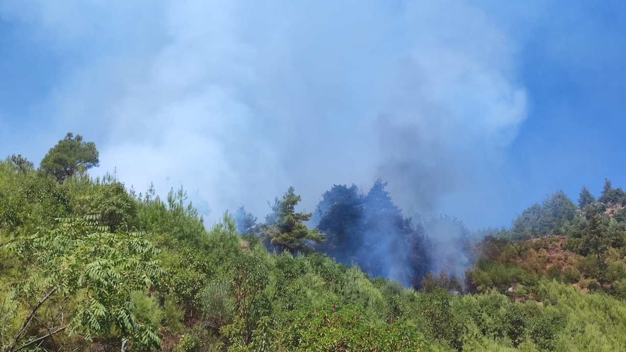 Adana'nın Feke ilçesinde orman yangını!