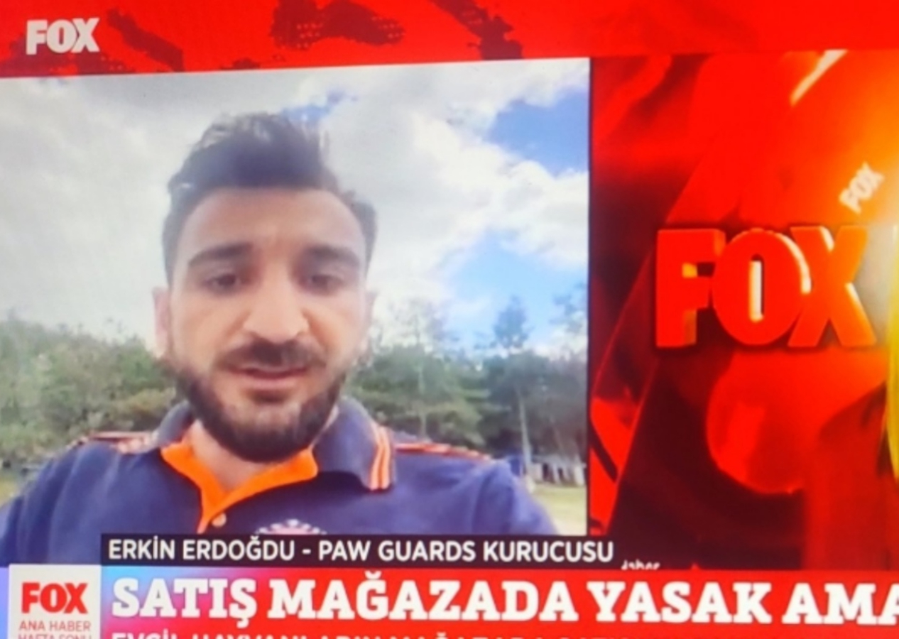 Paw Guards'ın yöneticisi Erkin Erdoğdu tutuklandı, akıllara FOX TV geldi: Canlı yayına çıkarılmıştı...