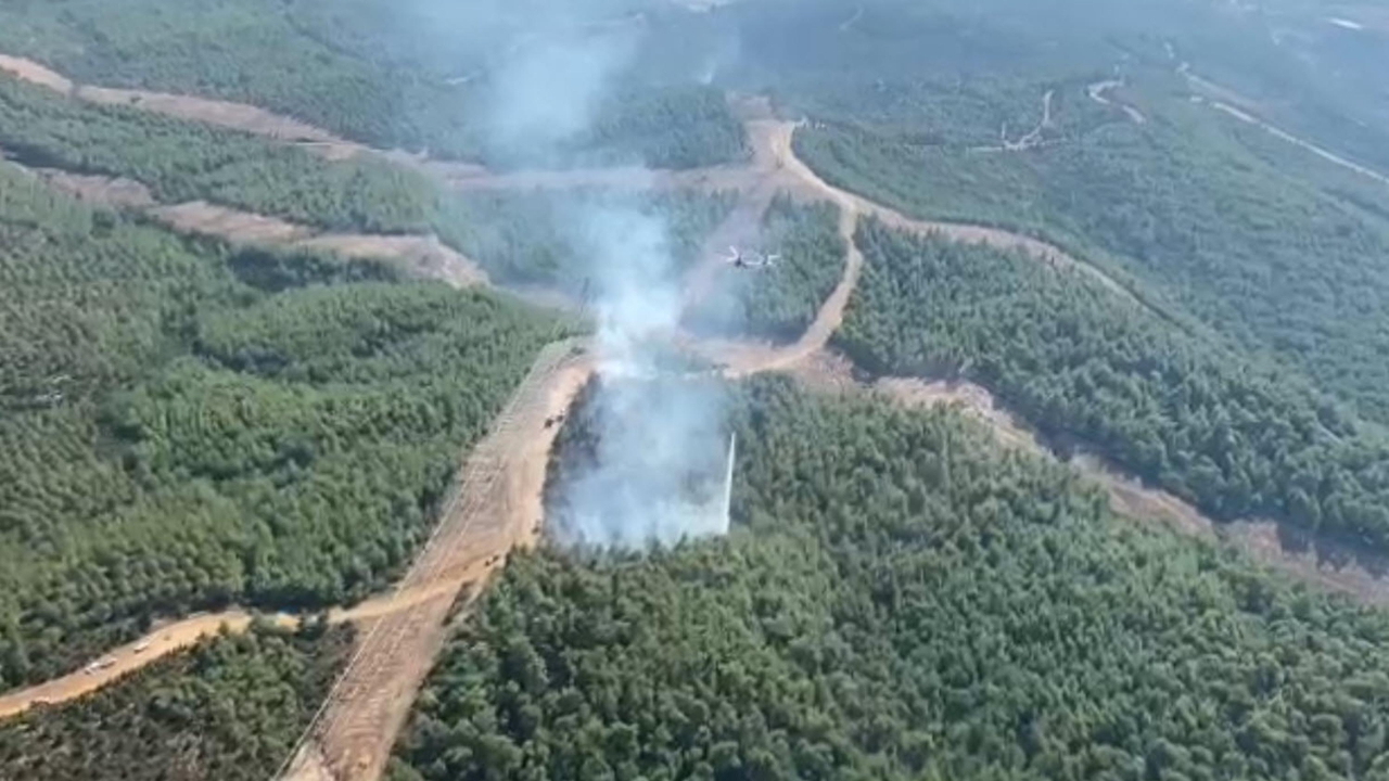 İzmir'de orman yangını: 1.5 saatin ardından kontrol altına alındı