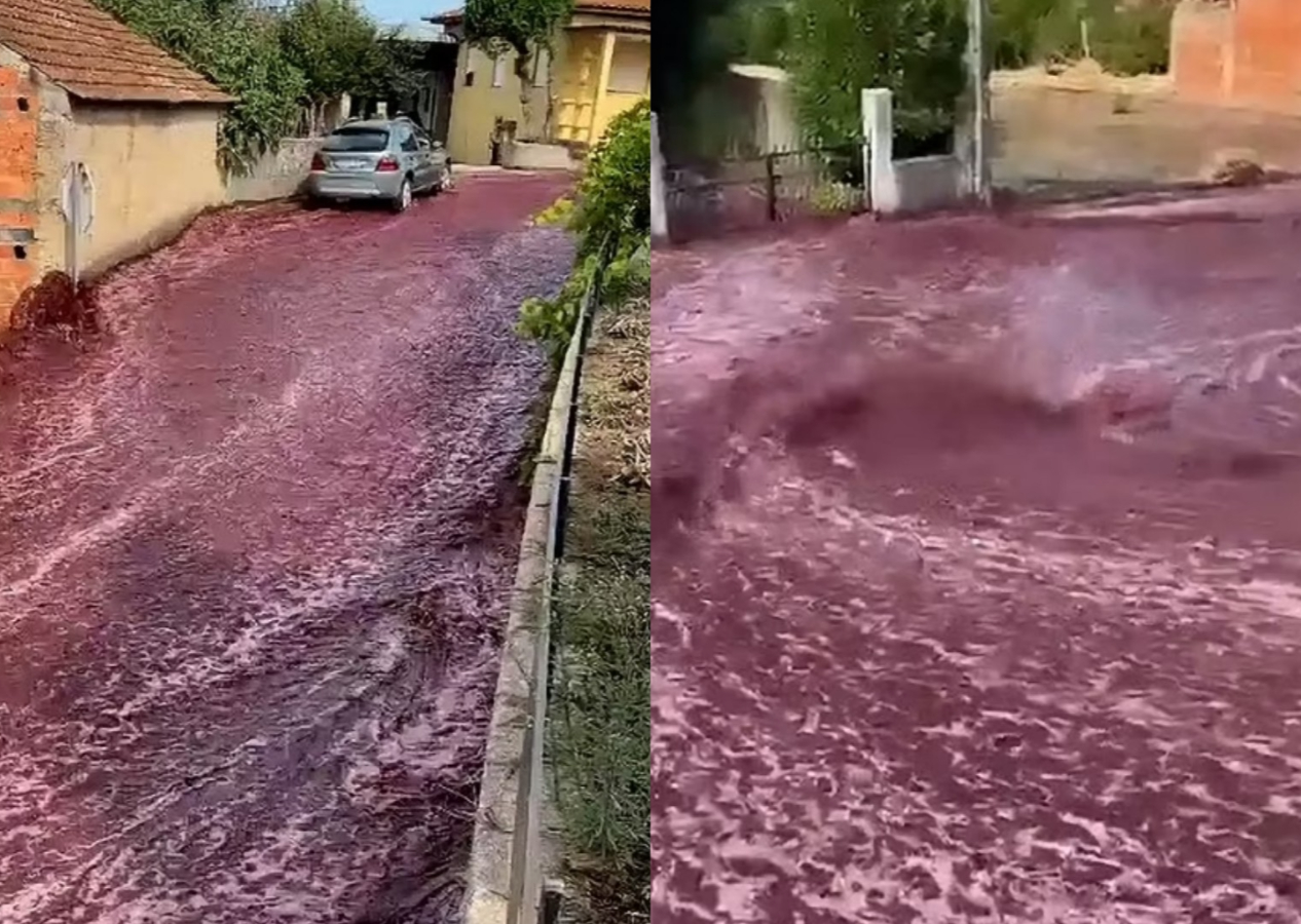 İçki fabrikasının şarap tankları çöktü: Sokaklar kırmızı şarap nehrine dönüştü
