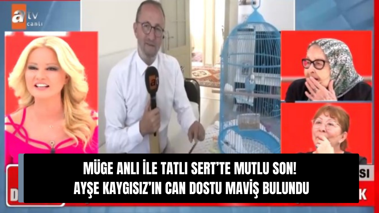 Müge Anlı ile Tatlı Sert programında mutlu son! Ayşe Kaygısız'ın can dostu Maviş bulundu