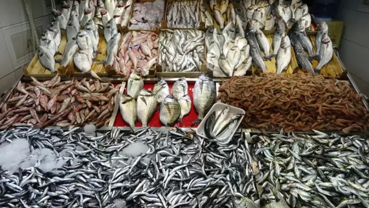 Balıkçılar hamsiye yöneldi, hamsinin kilosu 50 TL'ye düştü