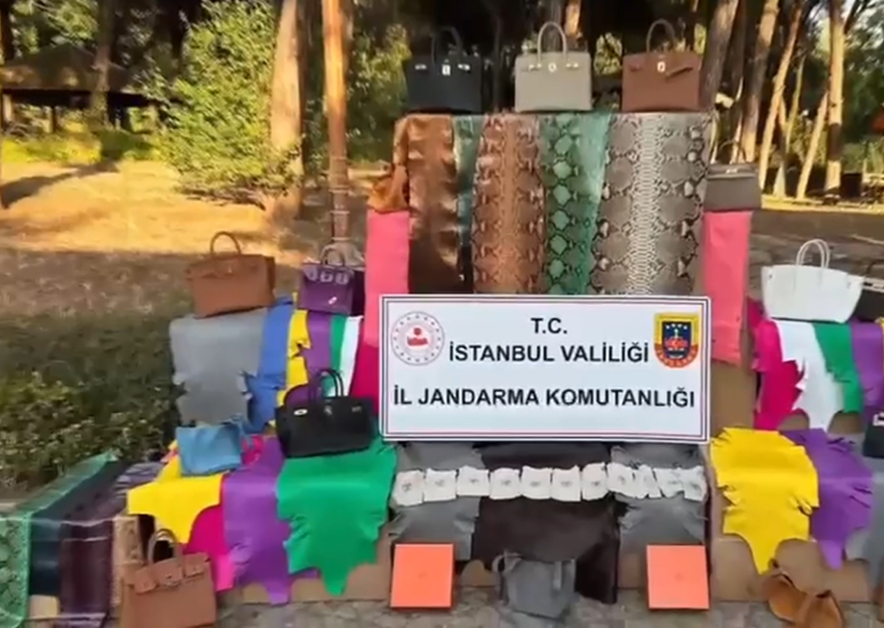 Kaçak hayvan derisinden çanta yapılan imalathaneye baskın! Timsah, deve kuşu ve yılan derileri ele geçirildi