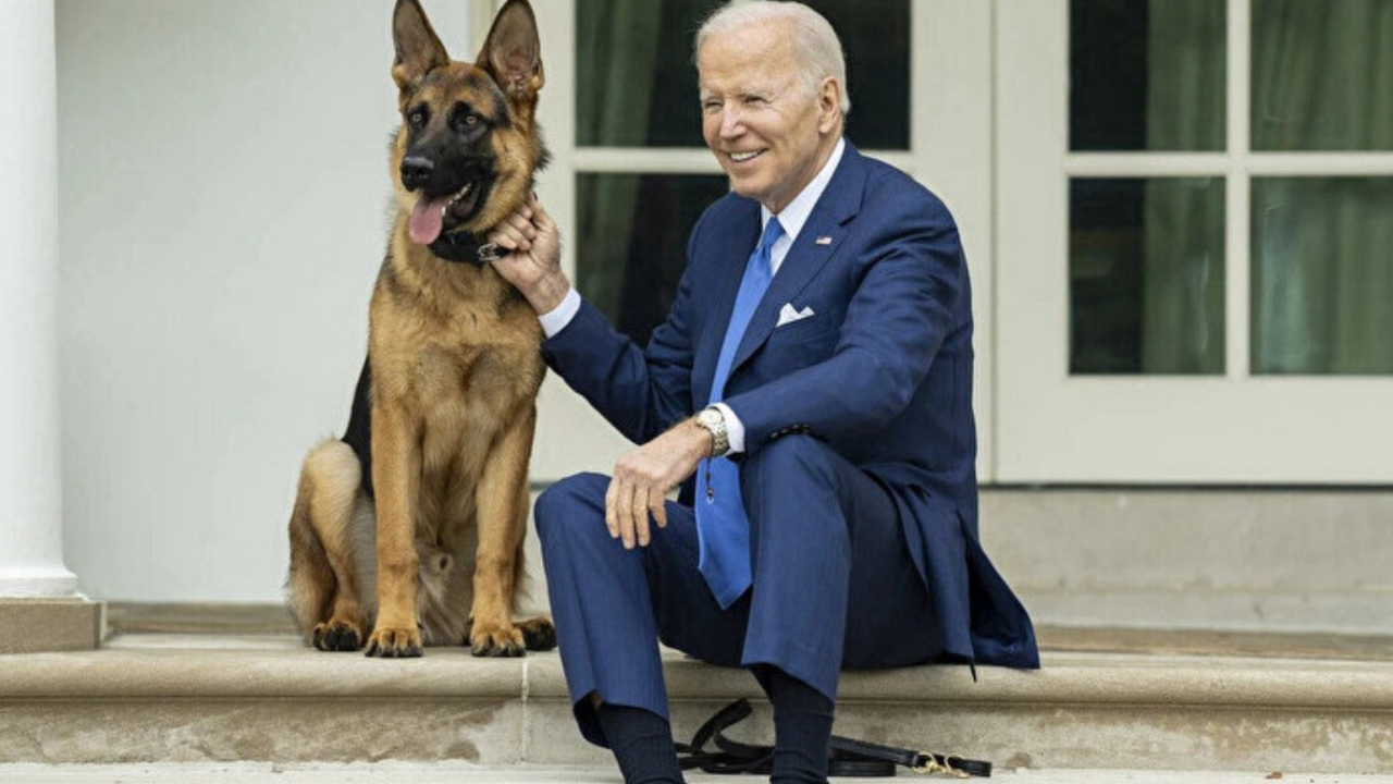 Biden'ın köpeği bir Gizli Servis görevlisini daha ısırdı: Elde var 11