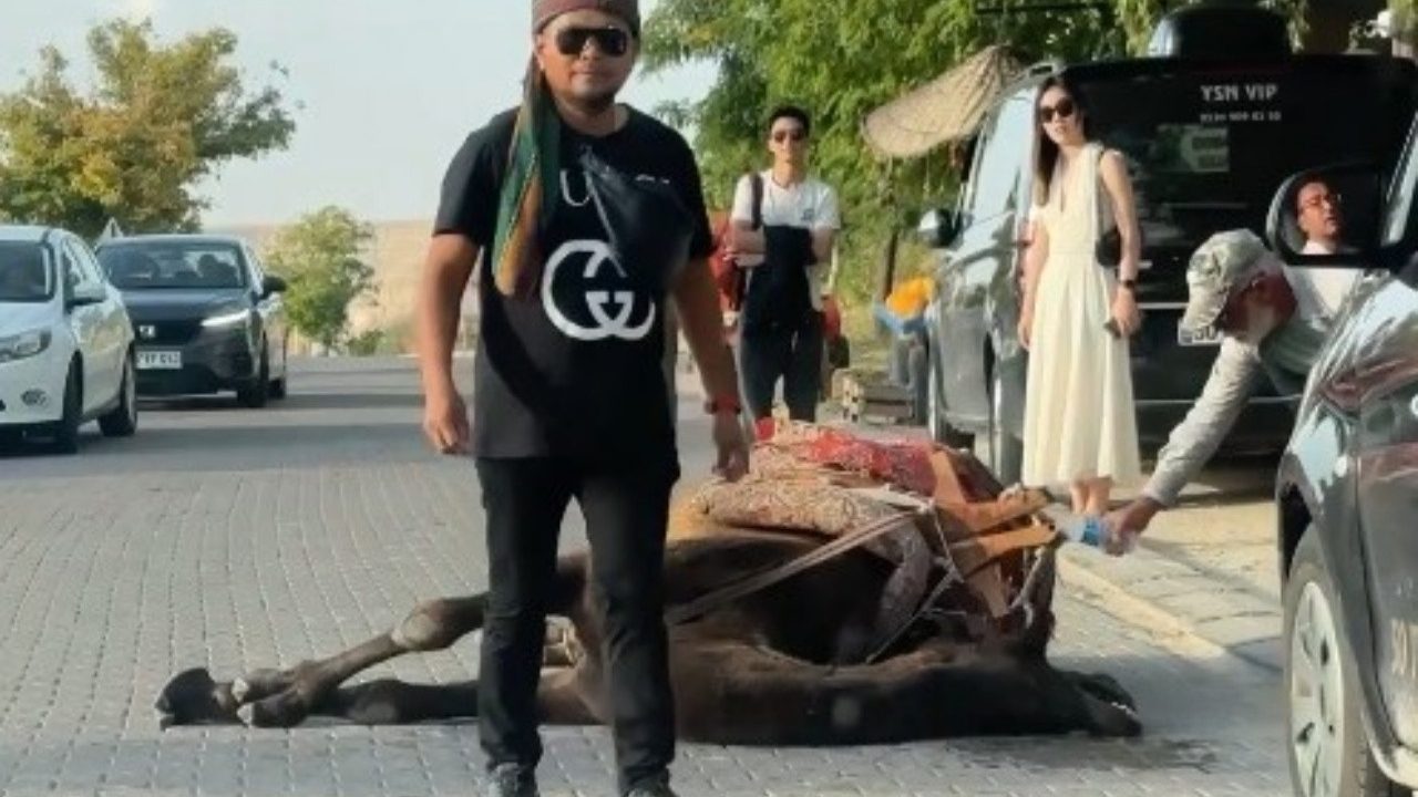 Kapadokya'da turistleri gezdiren deve yorgunluktan bayıldı!
