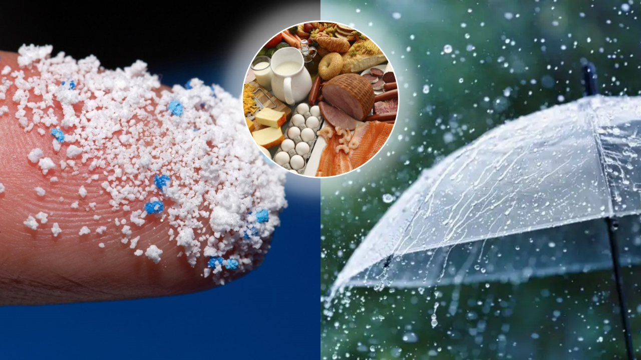 'Plastik yağmurlar' yediğimiz ve içtiğimiz her şeyi zehirleyebilir