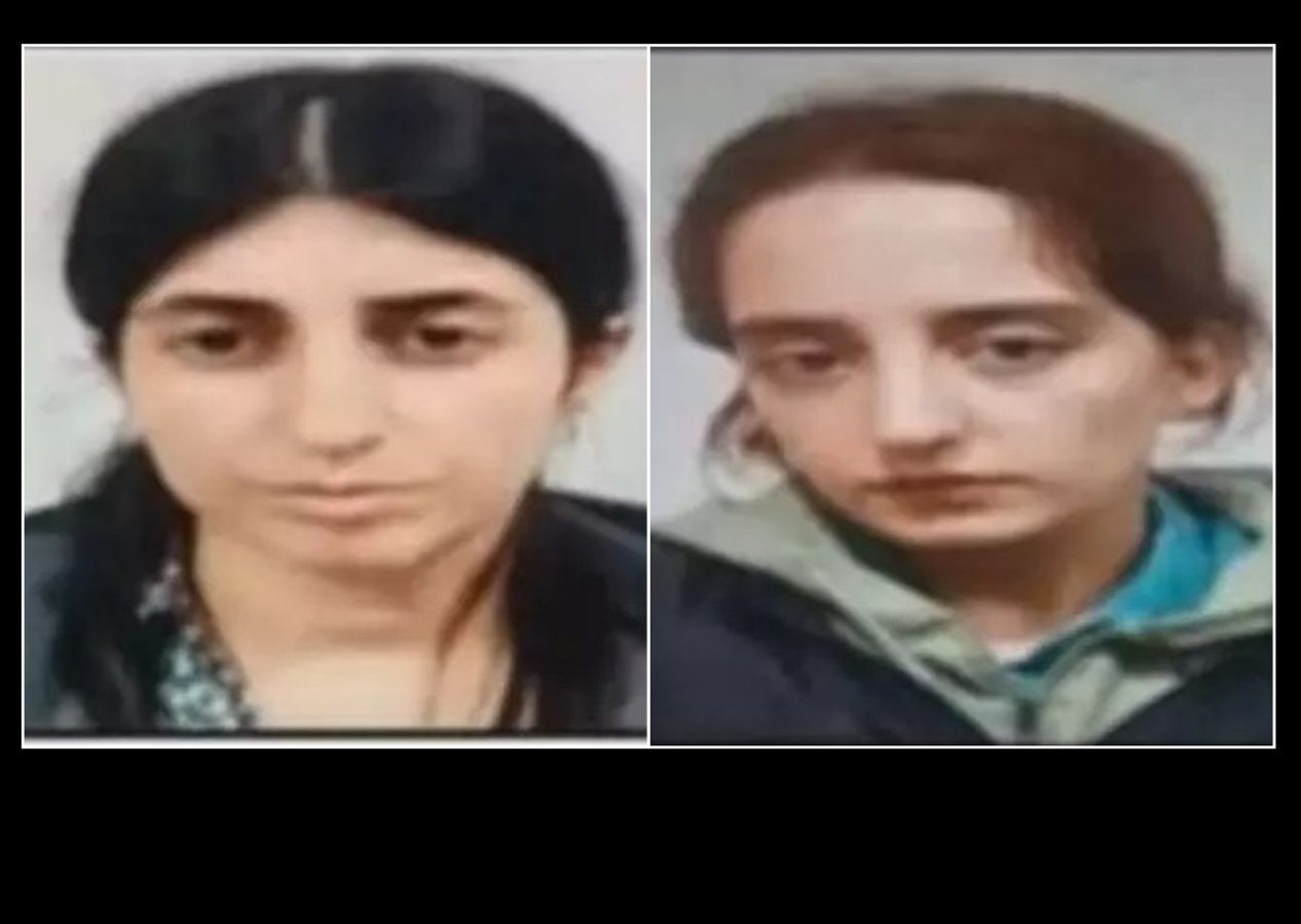 Bakan Yerlikaya duyurdu! Ağrı'da HDP'li milletvekilinin aracında sınır ötesine kaçmaya çalışan 2 PKK'lı terörist yakalandı