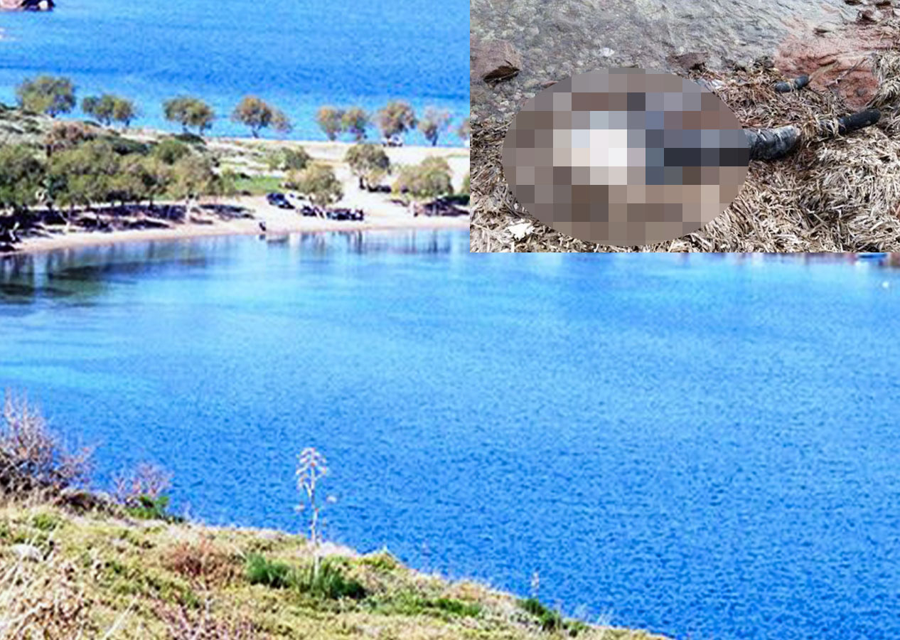 Bodrum'da bedeninin üst kısmı olmayan kadın cesedi bulundu