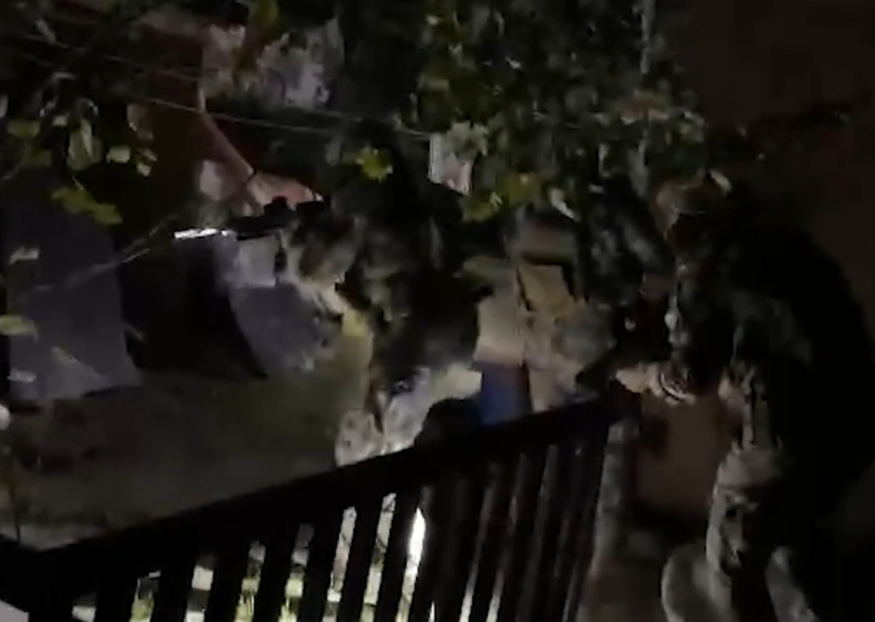 İstanbul’da PKK’nın Suriye uzantısına yönelik operasyon: Ormanları yakıyorlardı!