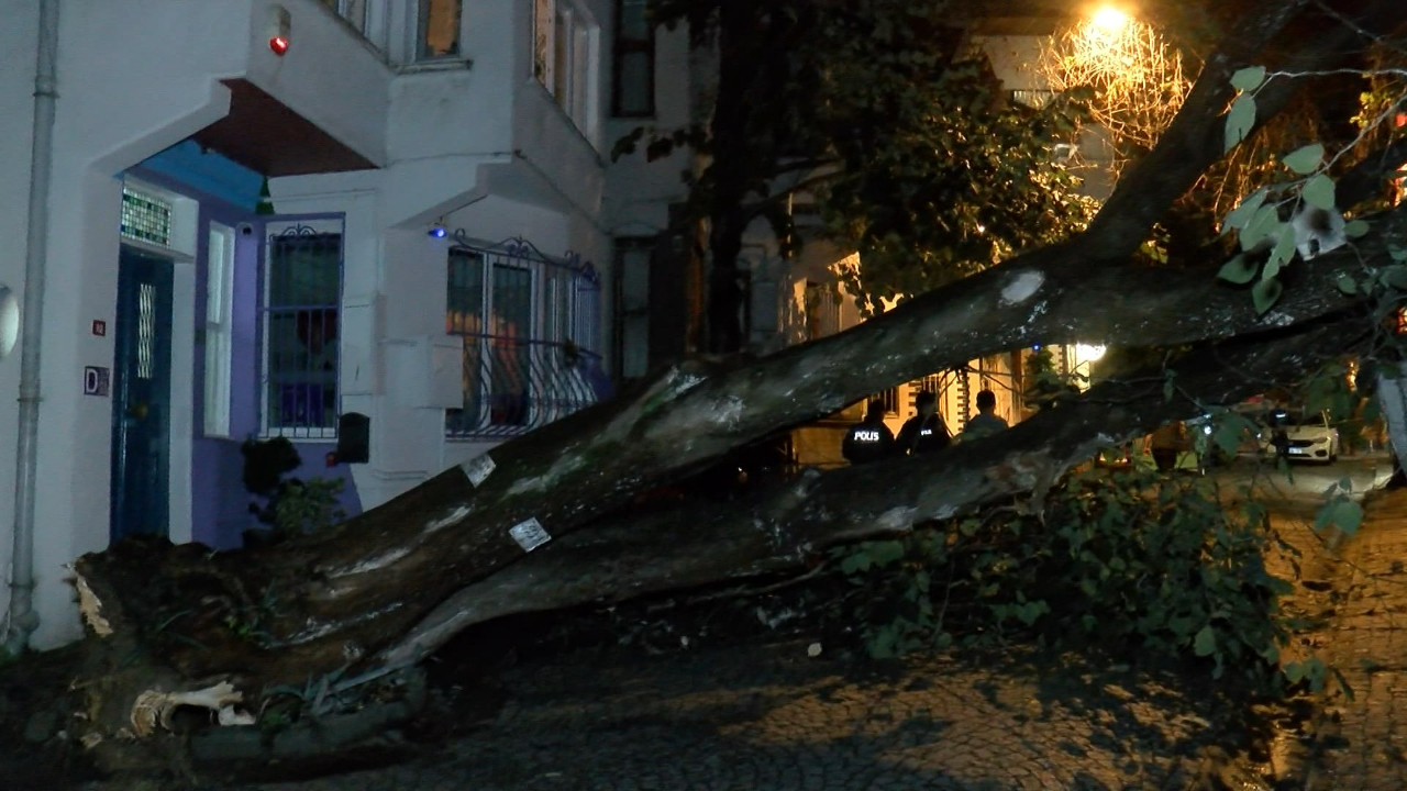 Sağanak etkiledi! Üsküdar'da evin bahçe duvarına ağaç devrildi!