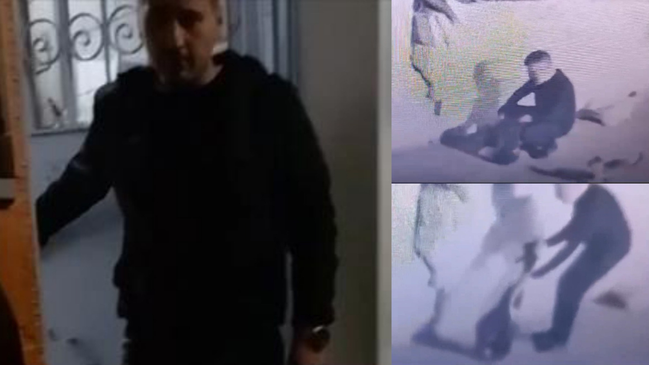 Kedileri çantasına koyarak kaçırıyordu! Evindeki korkunç manzara ortaya çıktı...