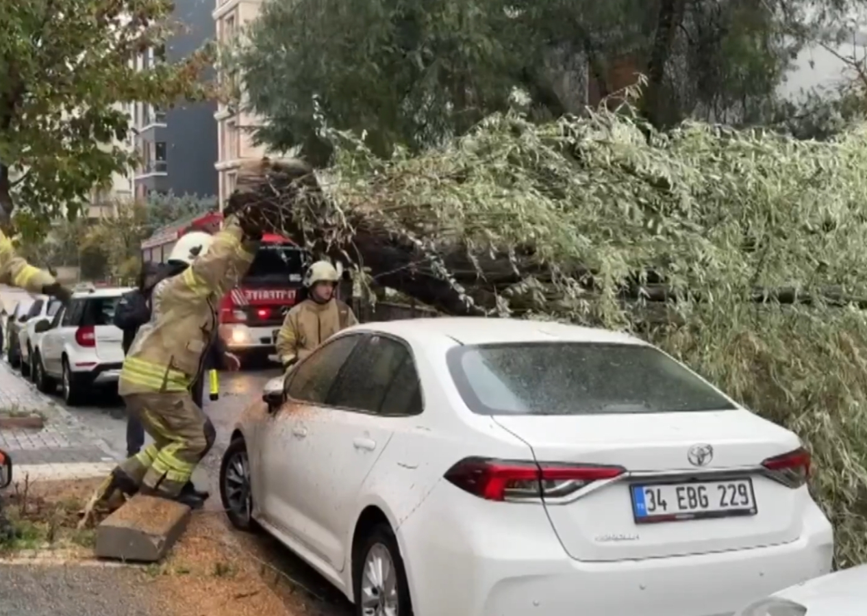 İstanbul'da şiddetli fırtına ağaçları yerinden söktü! Araçların üzerine devrildi...