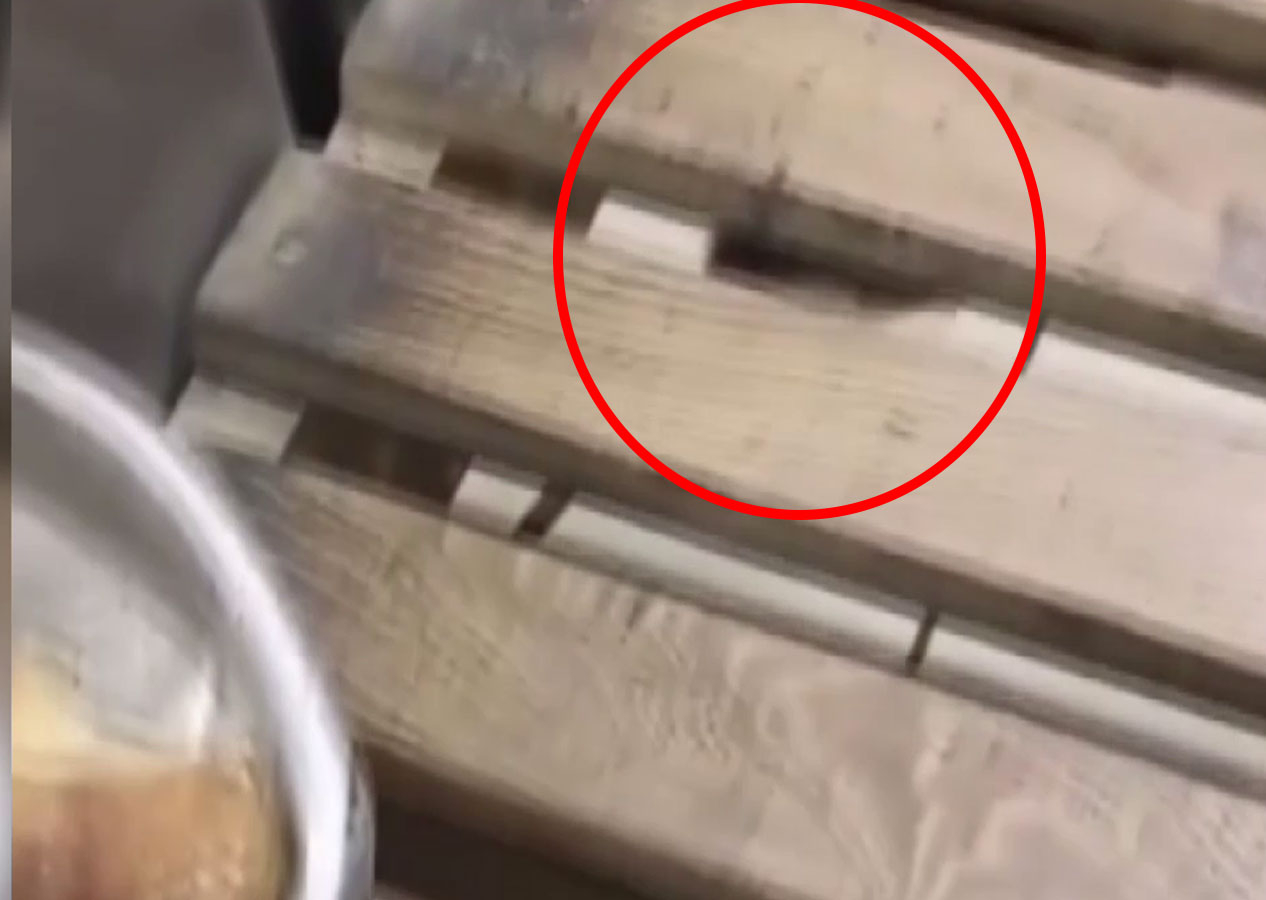 Müşteri Ankara'da unlu mamul dükkanında lağım faresini görüntüledi! Skandal görüntüler saniye saniye kaydedildi