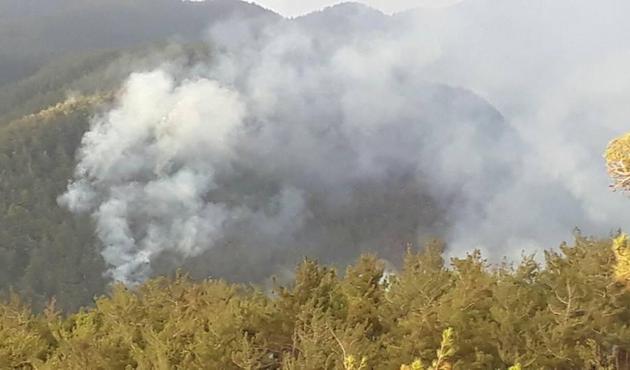 Amanoslar'da PKK'lılarla çatışma çıktı! Teröristler ormanı ateşe verdi...