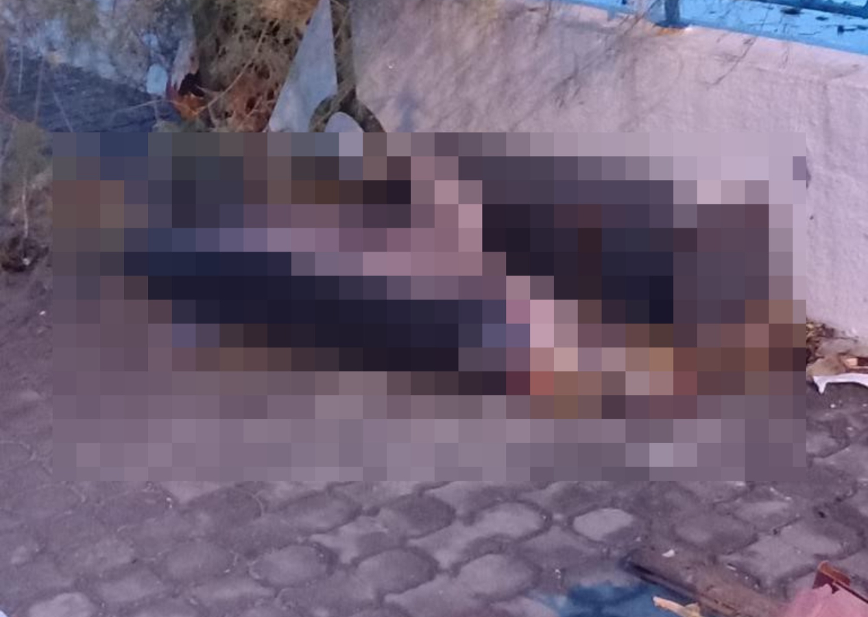 Fırtına sonrası karaya vurdu: Görenler şaşkın
