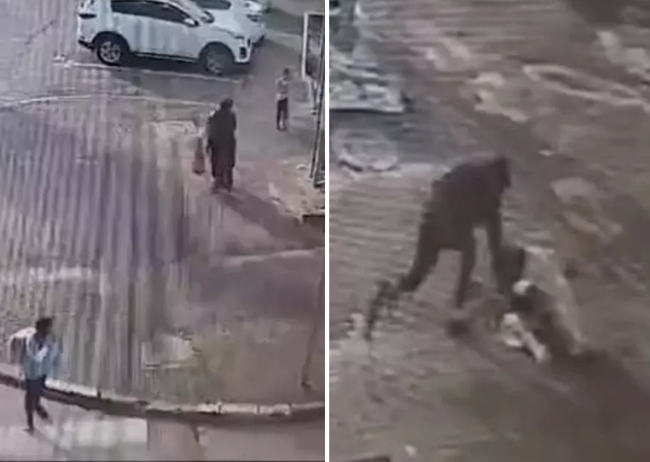 İsrailli terörist, çocuğunu okula götüren hamile Filistinli kadını defalarca bıçaklayıp katletti!