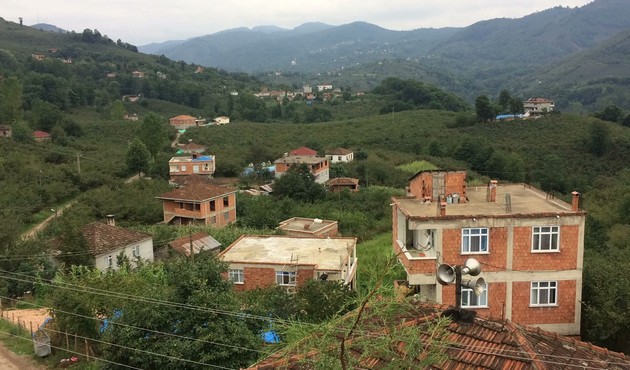 Ordu'da şarbon paniği... Kesilen ineğin etinden yiyen 1 kişi hayatını kaybetti!