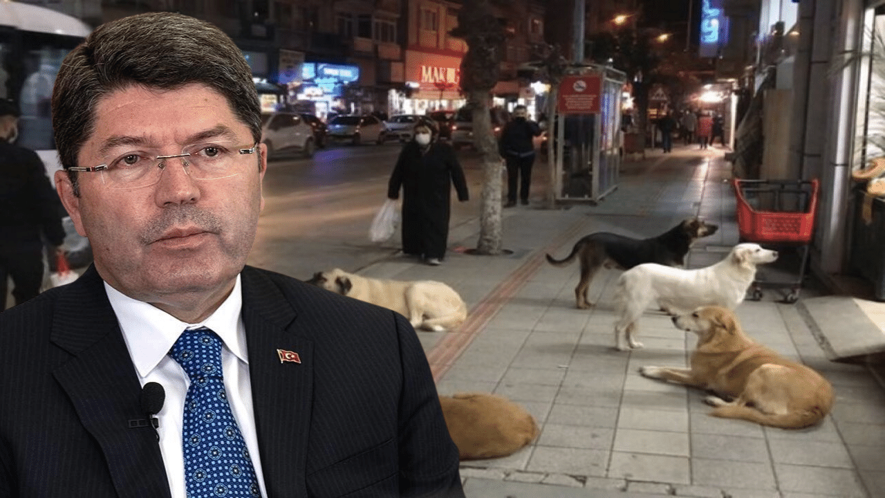 Adalet Bakanı Yılmaz Tunç açıkladı! İşte başıboş sokak köpeği kararı...