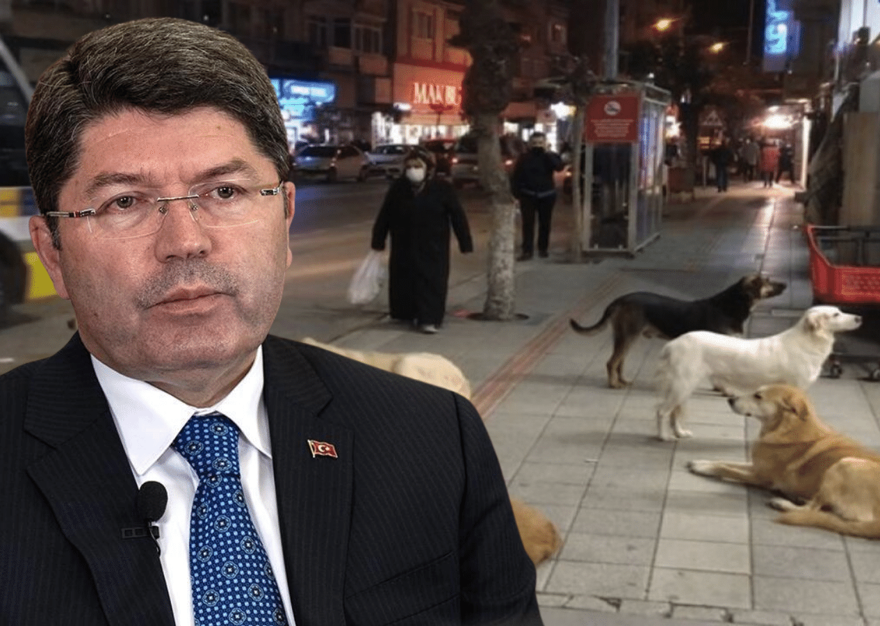 Adalet Bakanı Yılmaz Tunç açıkladı! İşte başıboş sokak köpeği kararı...
