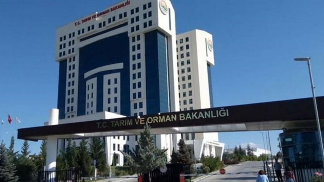 Tarımda dev atak! Tarım ve Orman Bakanlığı 7 bin 158 personel alacak