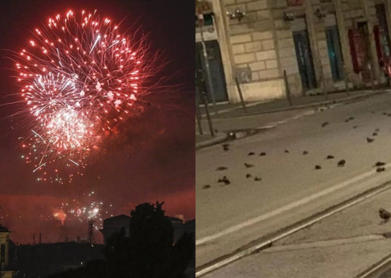 Havai fişek eğlence değildir! İnsana ve doğaya saygı...
