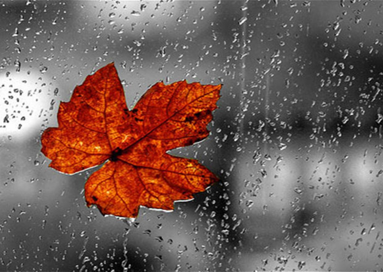 Meteorolojiden birçok il için sağanak yağış uyarısı!