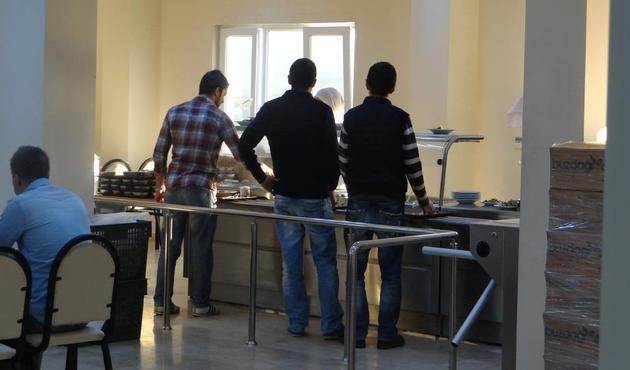 KYK yurdunda etobur örümcek ‘sarıkız’ korkusu!