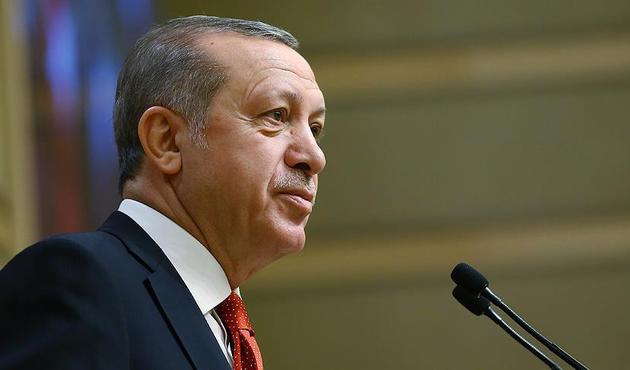 Cumhurbaşkanı Erdoğan: Ecdadımızın ödediği bedeller Cumhuriyetimizin en büyük güvencesidir