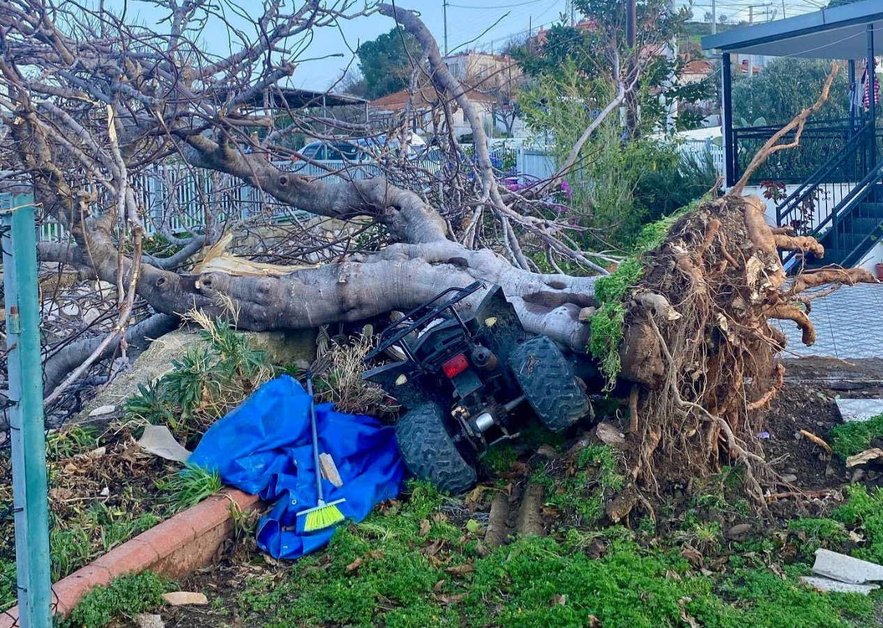 Meteoroloji uyarmıştı: İzmir'de hortum su tankerini 30 metre fırlattı, çatıları uçurdu, ağaçları devirdi