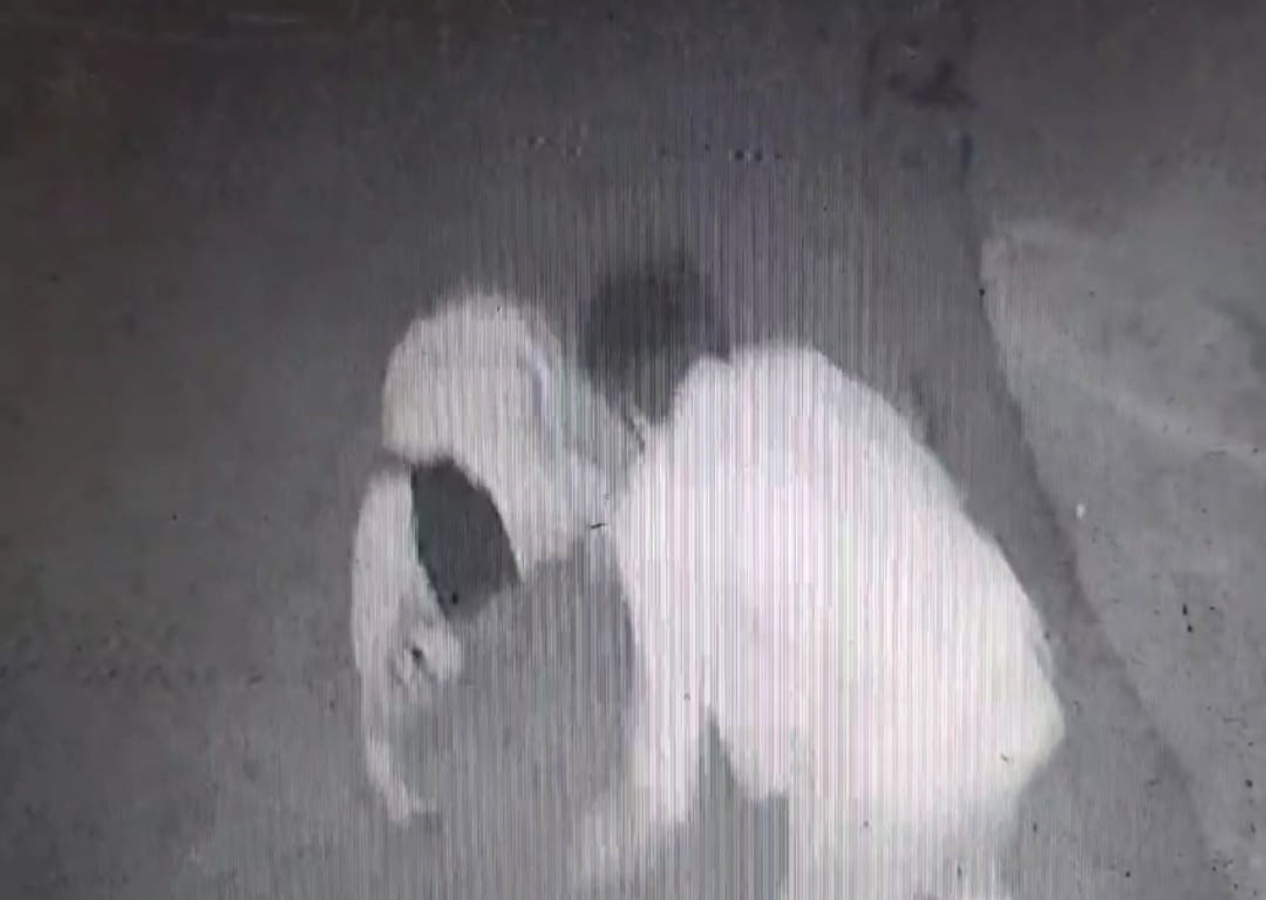 İzmir'de korkunç cinayet: Tanımadığı genci "Sen kafirsin" diyerek göğsünden bıçakladı!