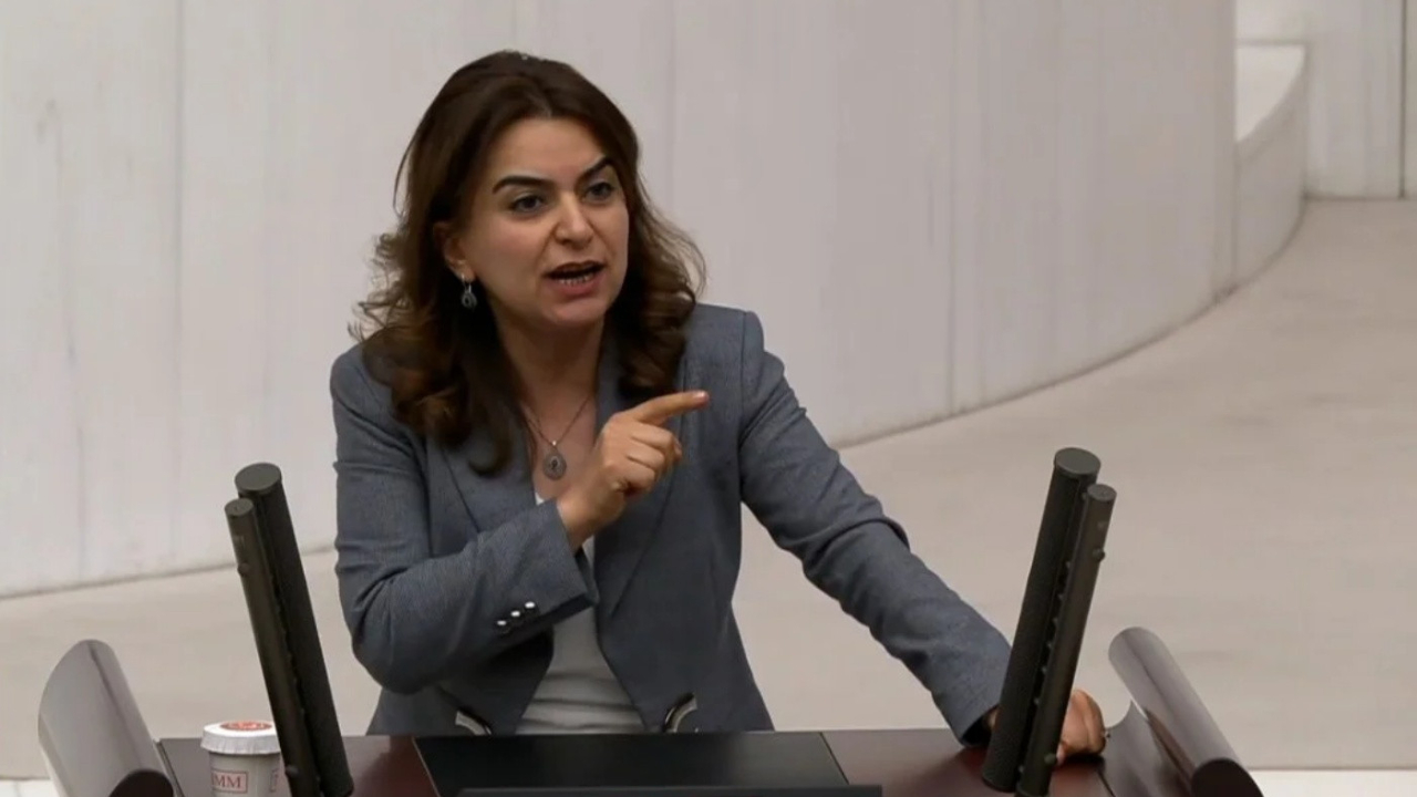DEM Parti vekili Gülistan Kılıç'tan Meclis'te tepki çeken sözler: Kürdistan diyoruz, diyeceğiz. Kürdistan bir hakikattir