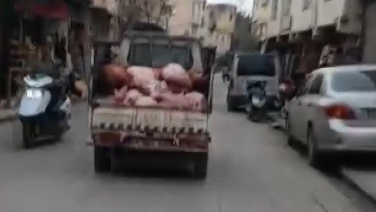 Bıktık bu görüntülerden! Hijyen kurallarını hiçe saydılar...