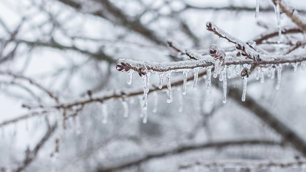 Meteorolojiden Ankara için yeni uyarı! Buzlanma ve don olayına dikkat