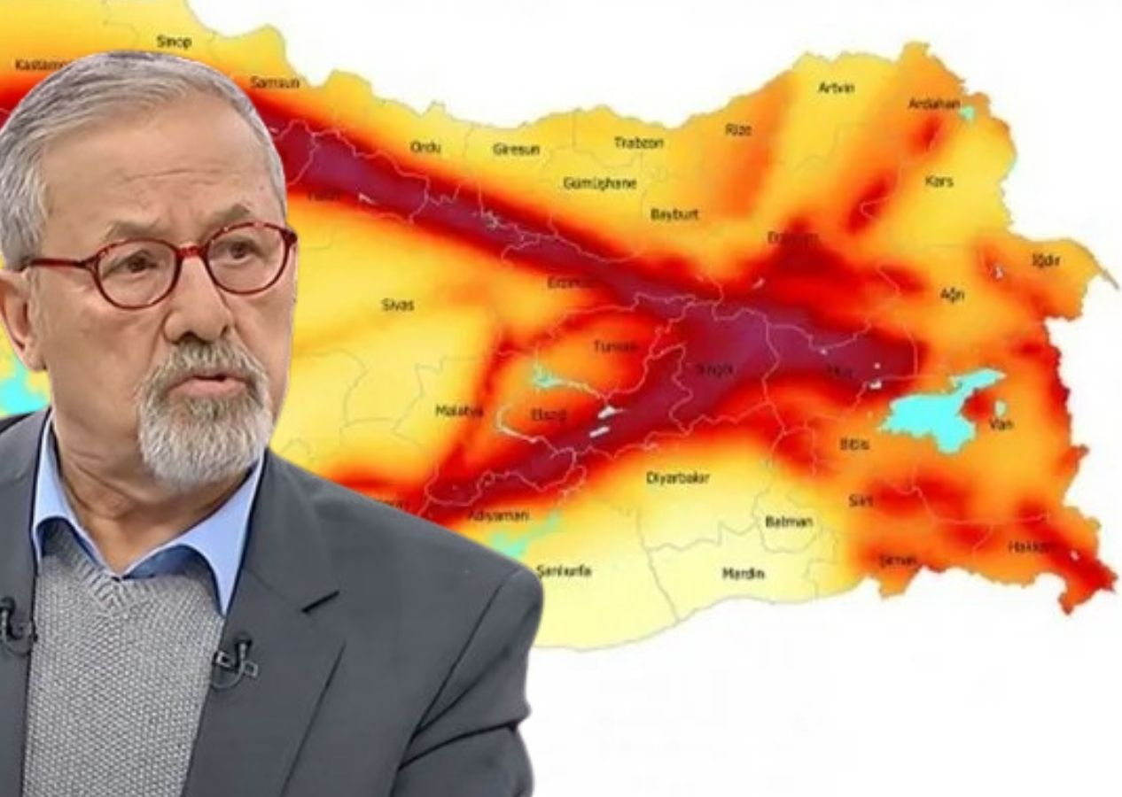 Prof. Dr. Naci Görür Doğu Anadolu Fayı'nı işaret etti