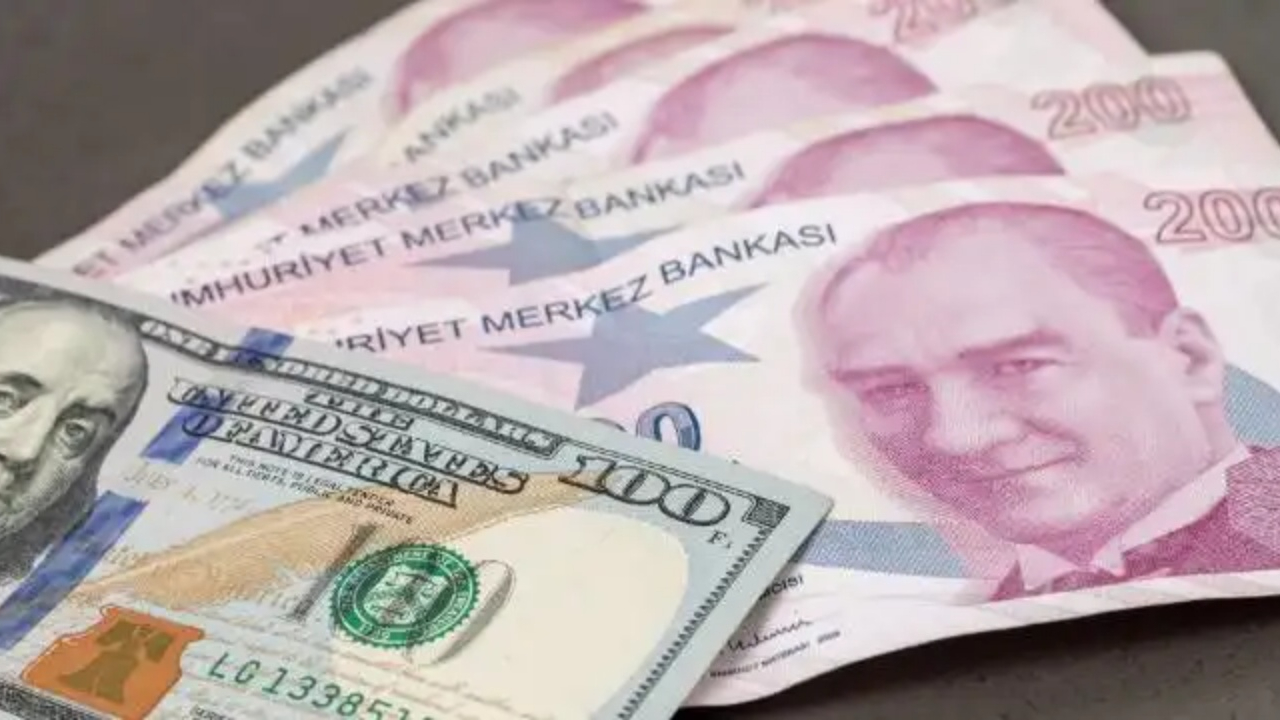 Reel efektif döviz kuru ocak ayında 56,95'e yükseldi