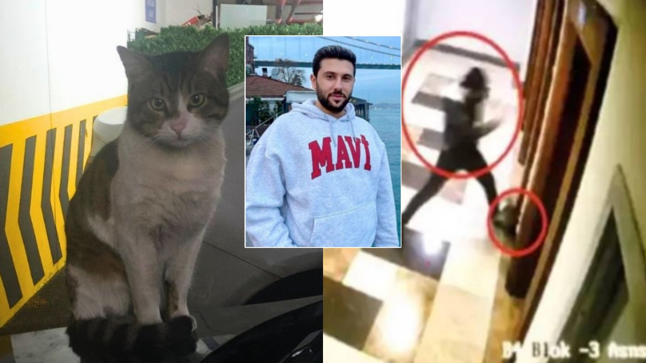 Kediyi 6 dakika işkence ederek öldüren caniye iyi hal indirimi! İnfial yaratan karara tepki yağıyor...