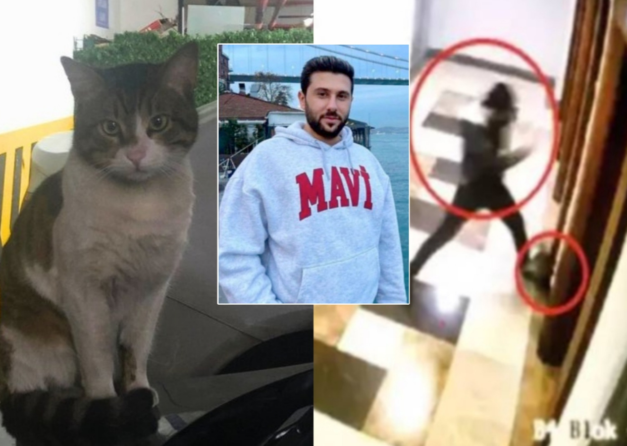Kedi Eros'u canice katleden İbrahim Keloğlan hakkında flaş gelişme: Yeniden yargılanacak