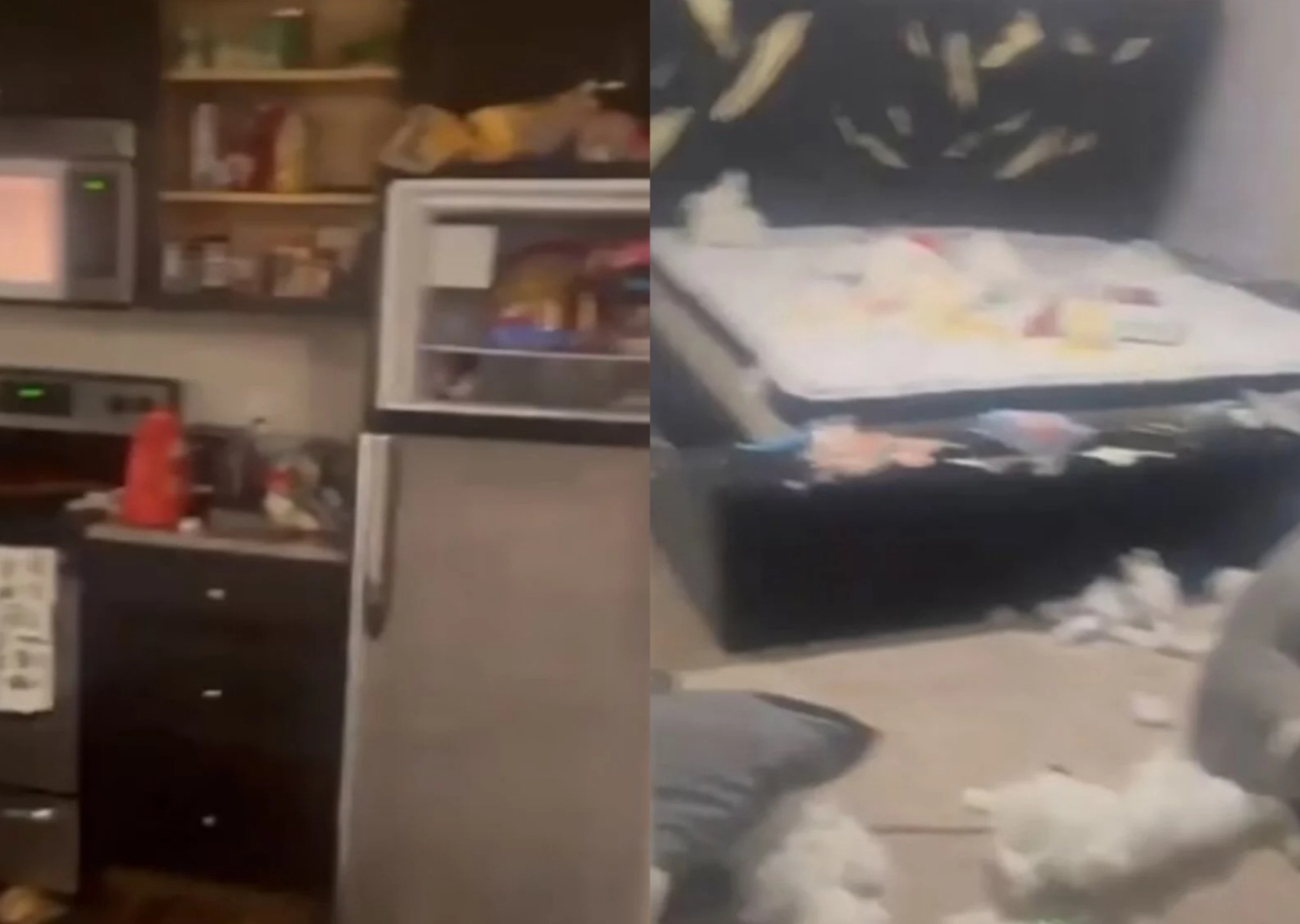 Sevgililer Günü'nde erkek arkadaşından hediye alamayan öfkeli kadın evi savaş alanına çevirdi