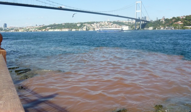 İstanbul Boğazı yine kana büründü! / VİDEO