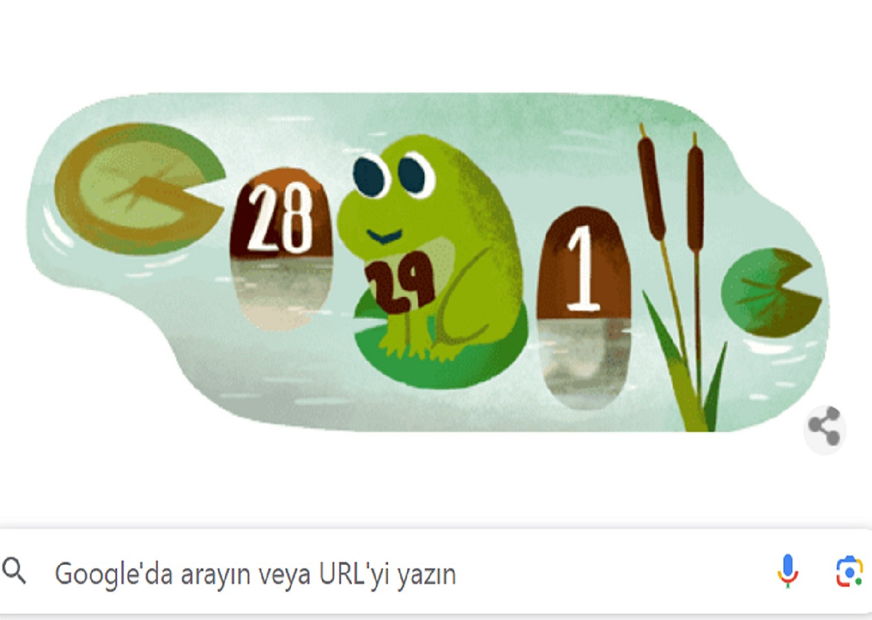 Google'dan 29 Şubat artık gün doodle geldi...