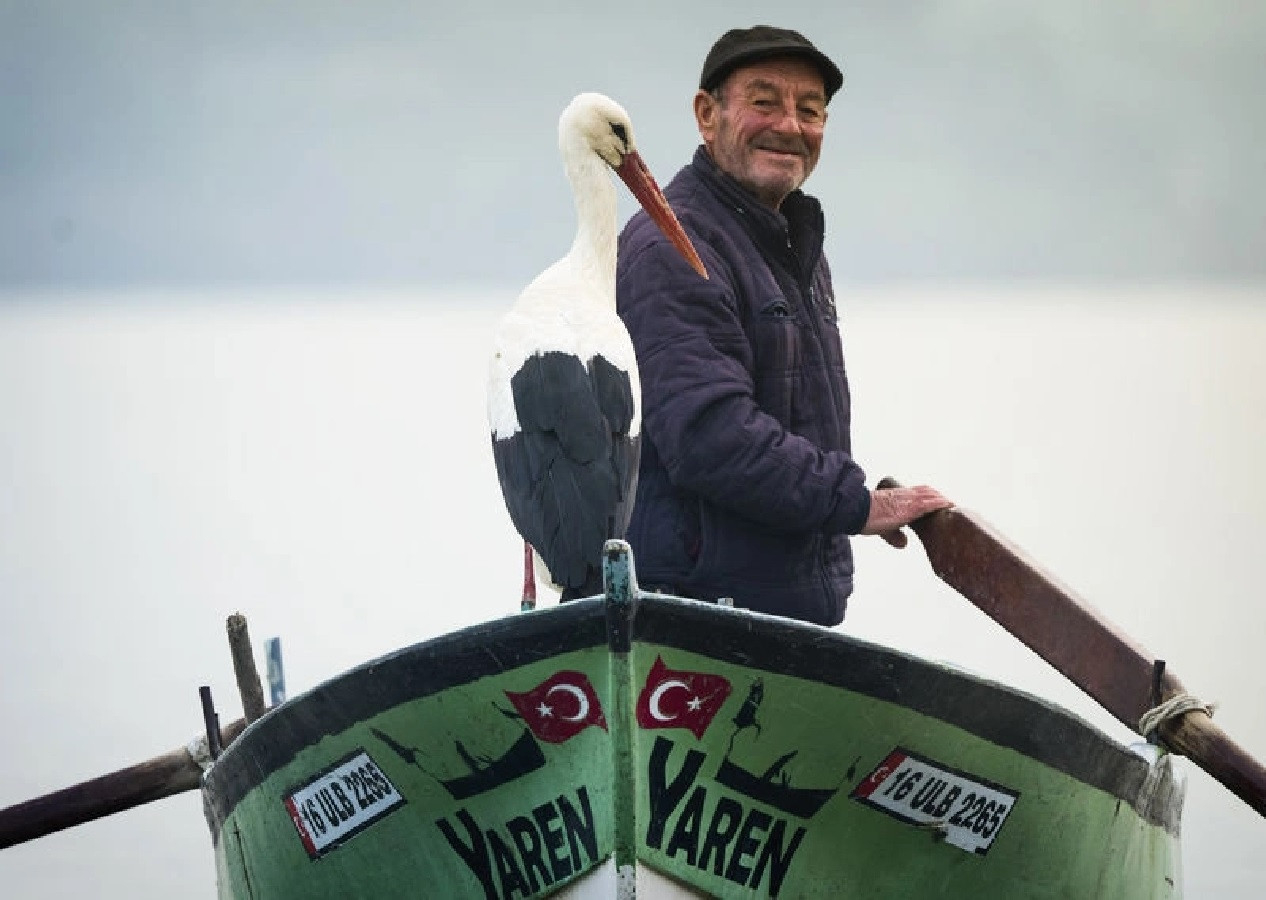 Balıkçı Adem amca ile 13 yıllık dostu Leylek bu yılda kavuştu! Leylekten görülmemiş vefa ve dostluk...