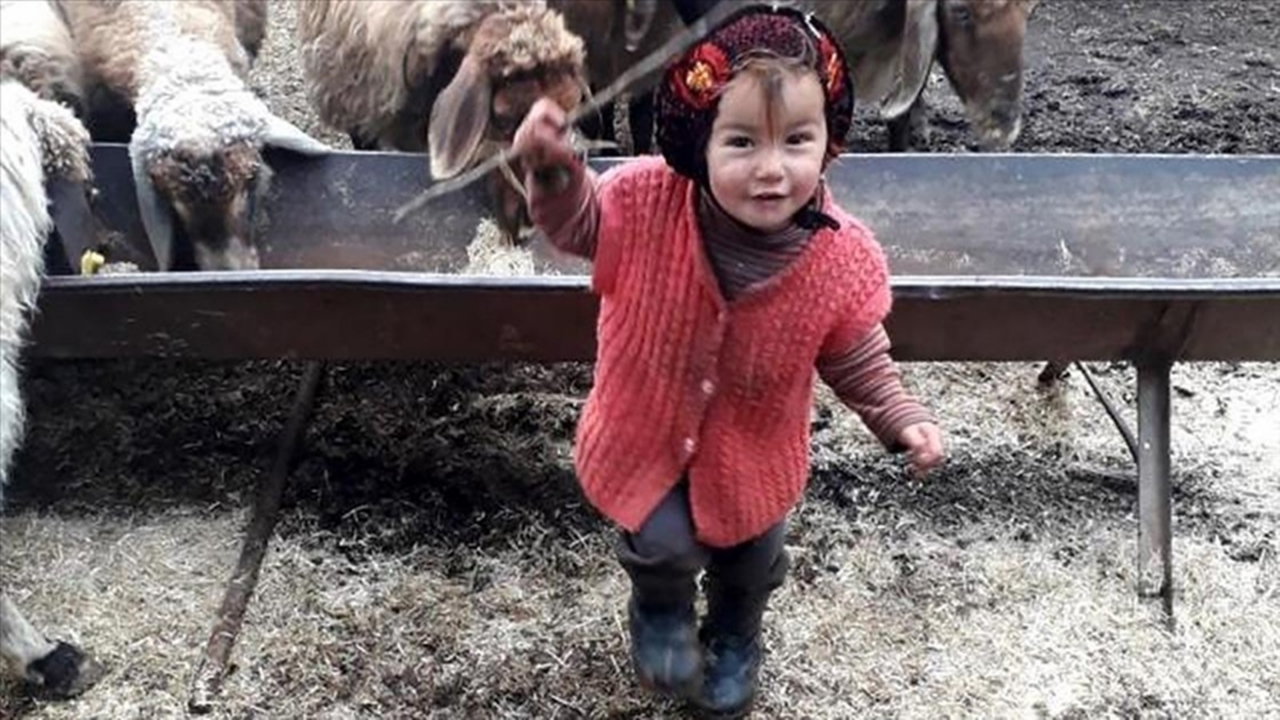 Yörük kızı Müslüme Yağal olayında flaş karar! Sapık dede Hasan Yağal'a verilen ceza açıklandı
