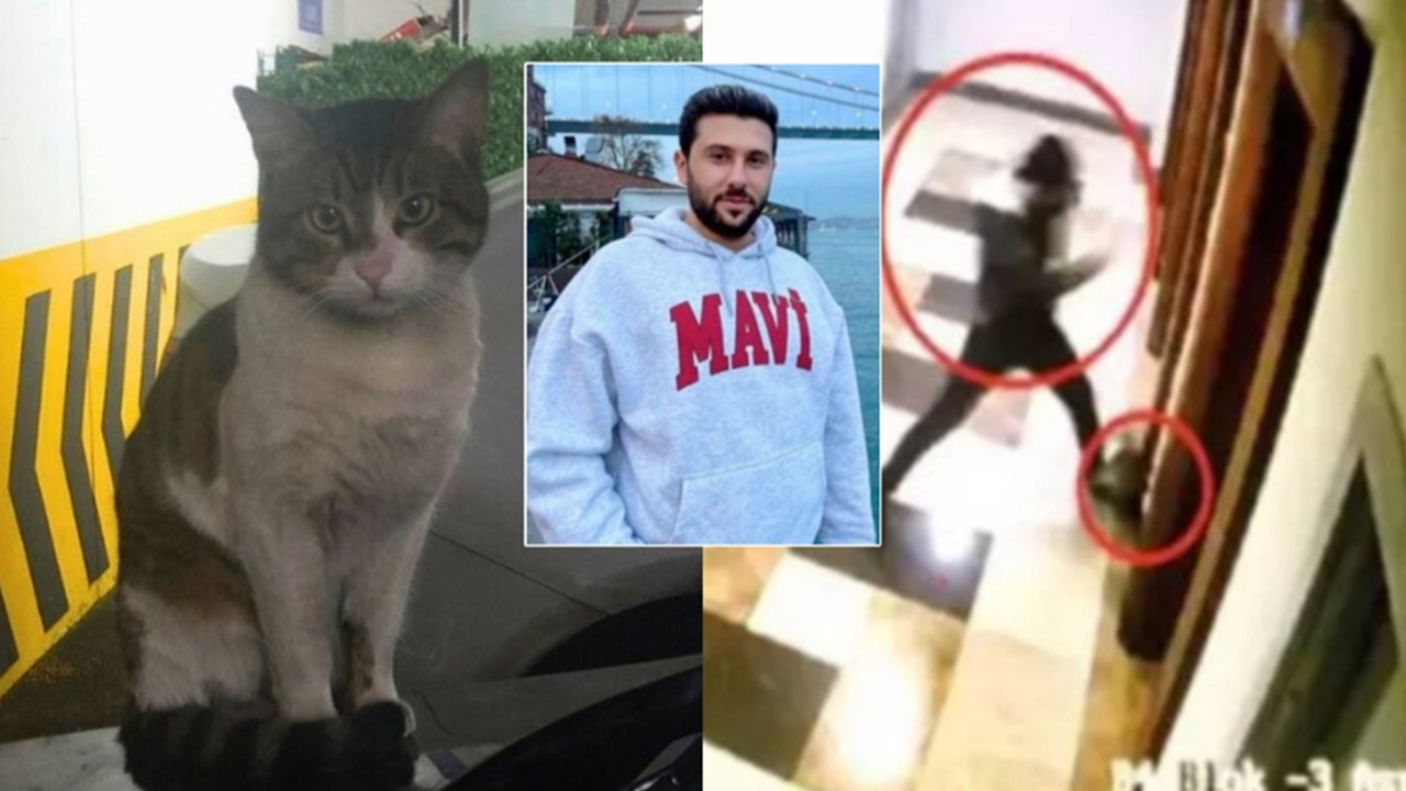 Kedi Eros'un katilinin serbest bırakılmasına sanat dünyasından tepki yağdı!