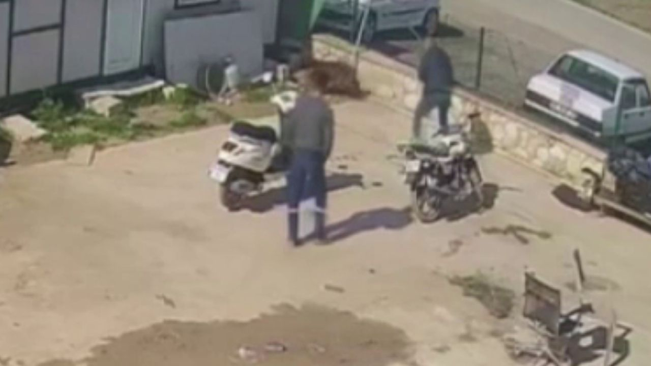 Gözü dönmüş cani durduk yere köpeğe saldırdı! İşte o işkence anları...