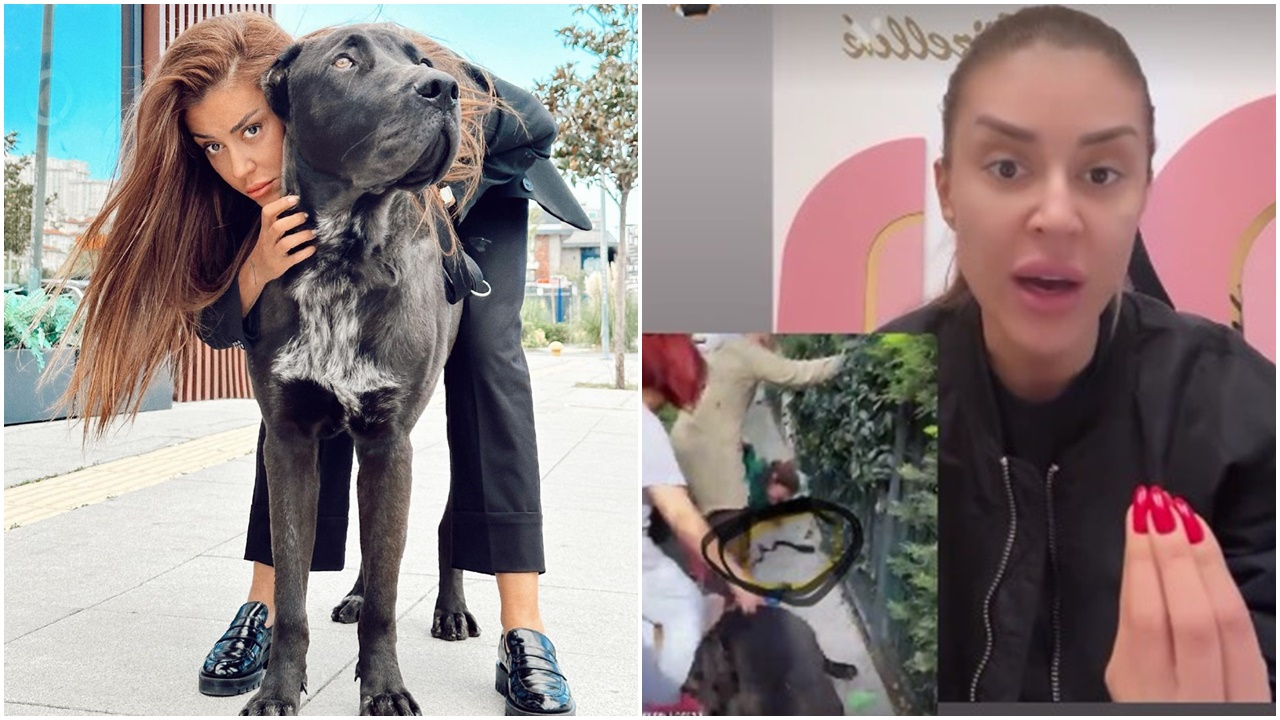 Köpeği dehşet saçan Banu Parlak, ''Beni katil ilan ettiniz'' diyerek isyan etti! ''Beyzbol sopalarıyla bana saldırdılar, darp raporu aldım''