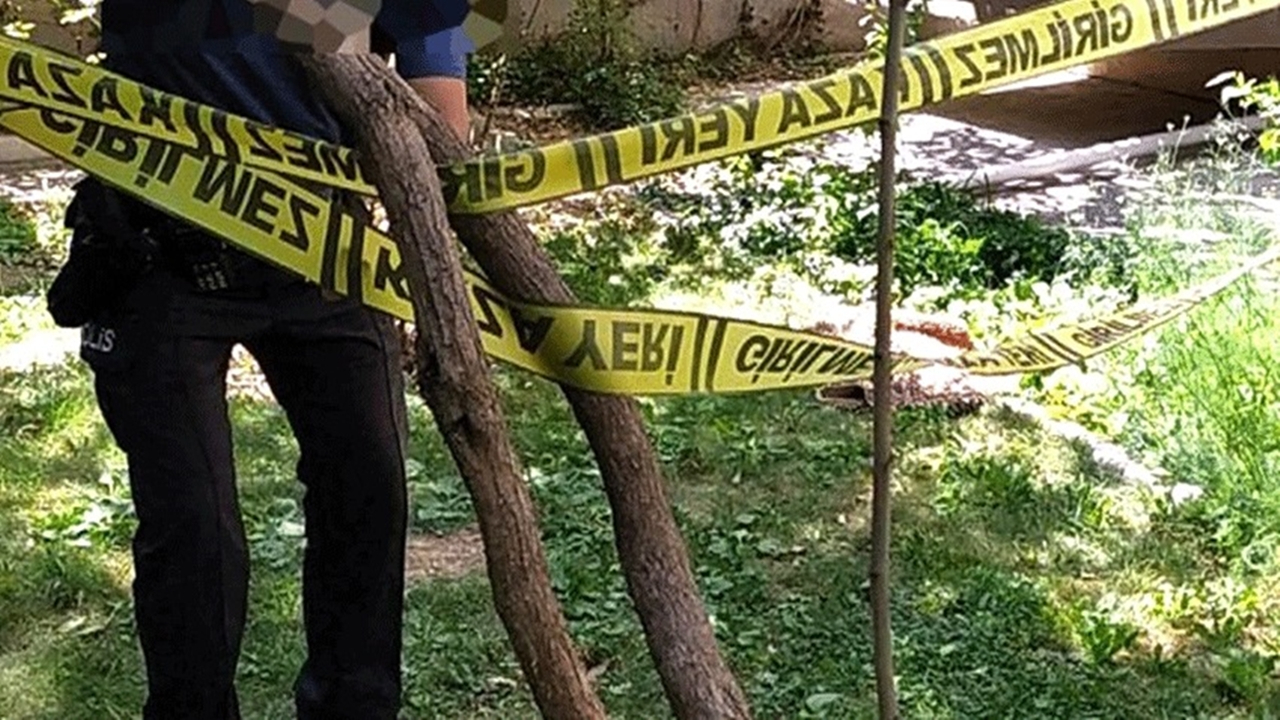 Ordu'da acı olay! Ağaçtan düşen kişi hayatını kaybetti