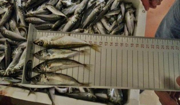 Balık halinde '13 cm' operasyonu!