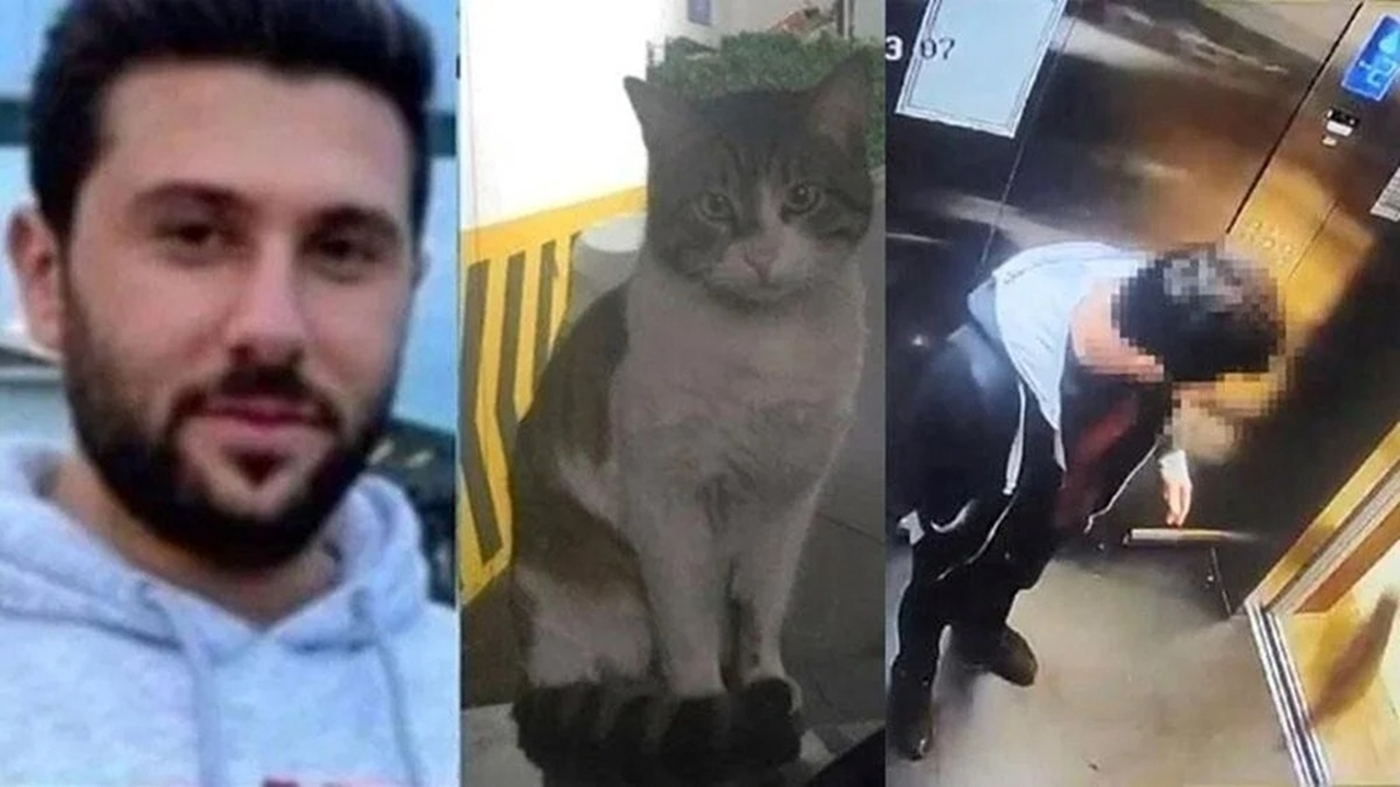 Vahşice katledilen kedi Eros davasında flaş gelişme! Savcılık cezaya itiraz etti